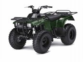 2009 Kawasaki Bayou 250 photo